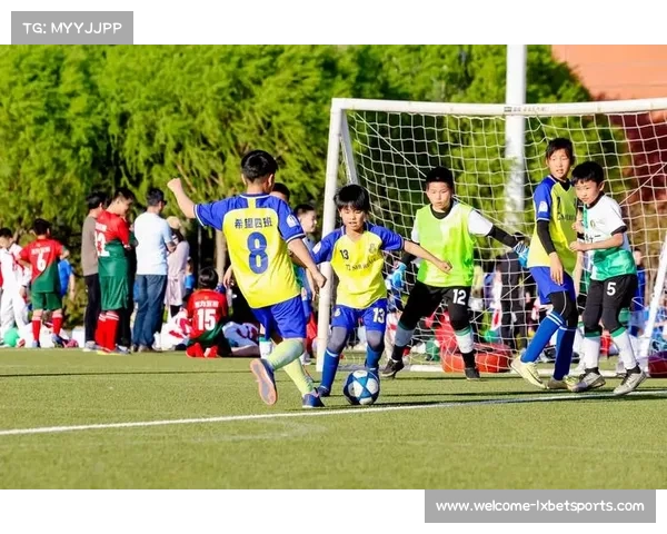 世界杯巅峰对决德国挑战巴西重燃足球热情胜者是谁期待盛宴与激情碰撞